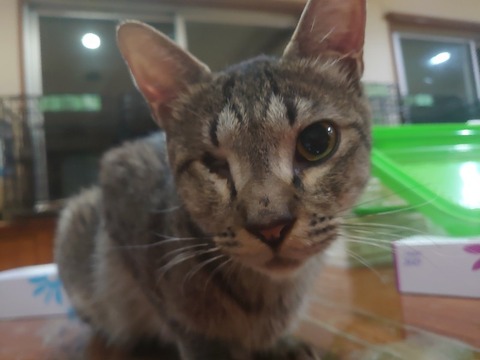 DSC_1664_copy_800x600