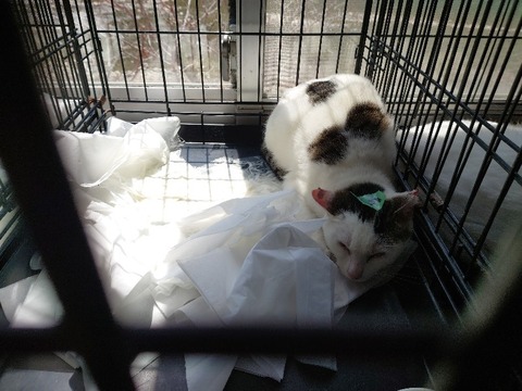 20230404_120245_copy_800x600