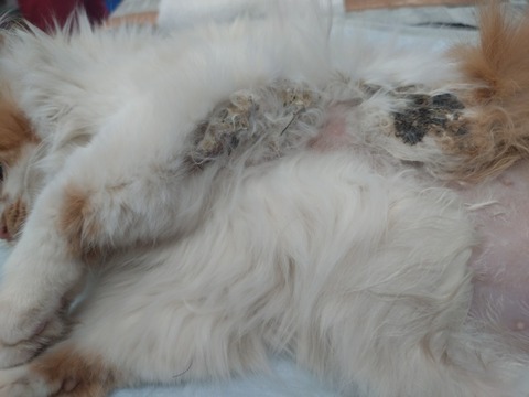 20260120_170653_copy_800x600