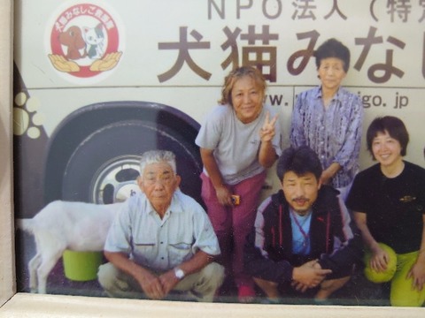 DSC_5643_copy_800x600