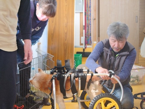 20240308_135045_copy_800x600