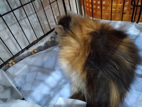 20260119_082453_copy_800x600