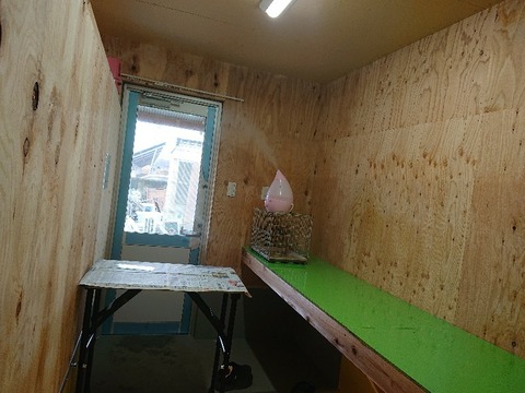 DSC_5824_copy_800x600