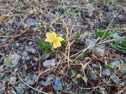 DSC_1672_copy_800x600