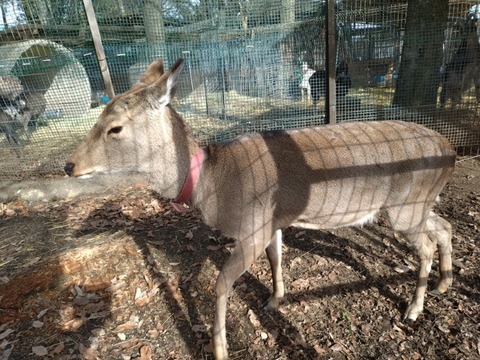 20251223_114909_copy_800x600