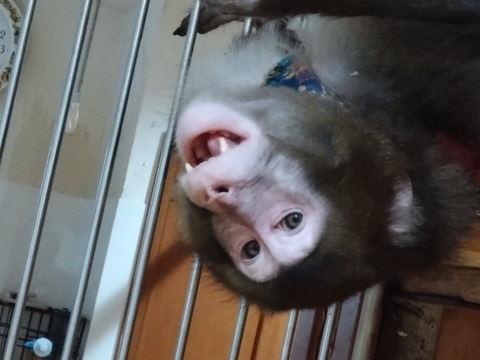 20251026_074712_copy_816x612_1