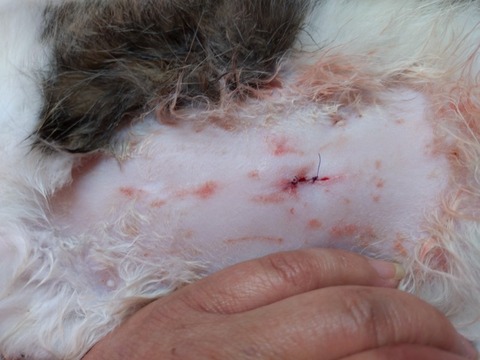 20251217_190839_copy_800x600