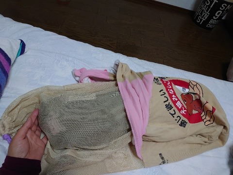 DSC_5660_copy_800x600