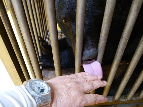 20231225_195051_copy_800x600