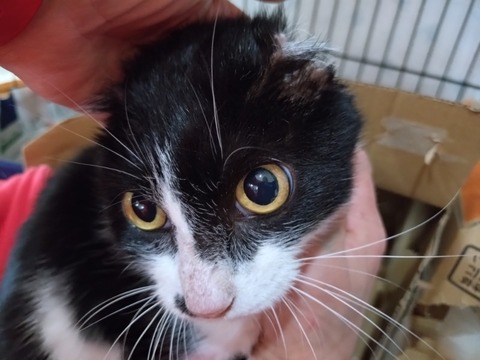 20251201_093344_copy_800x600