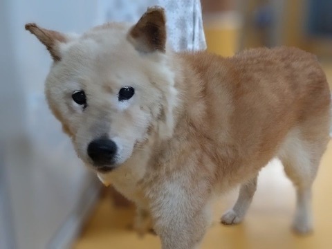 20240807_132626_copy_800x600_copy_800x600~2