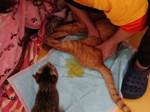 DSC_5406_copy_800x600