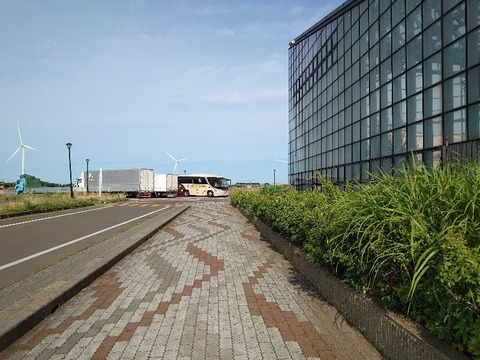 DSC_0042_copy_800x600_1