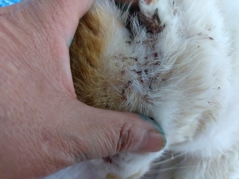 20251221_103632_copy_800x600