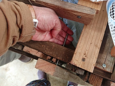 DSC_6322_copy_800x600