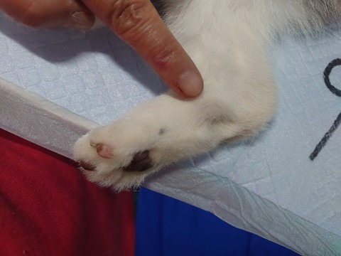 DSC_1303_copy_800x600