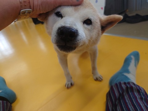 20240305_140043_copy_800x600