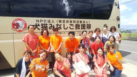 1566466030824-800x450