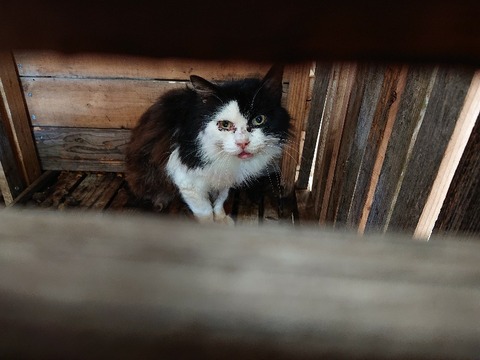 DSC_6320_copy_800x600