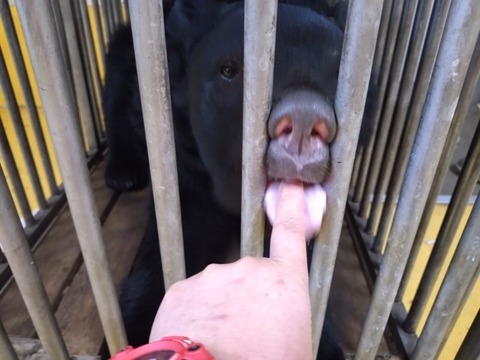 20251231_071937_copy_800x600