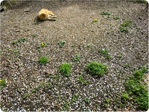 20250424_073852-EDIT