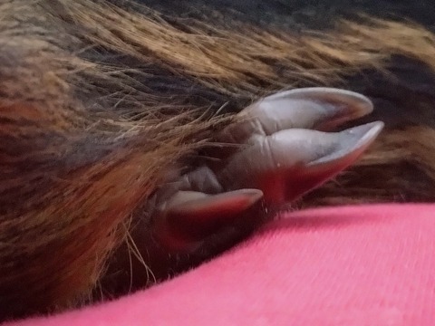20260701_185334_copy_800x600