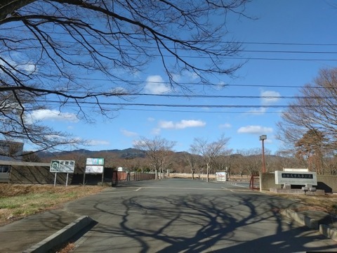 20260311_084428_copy_800x600