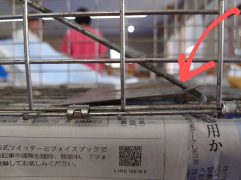 20230620_135008_copy_800x600~2