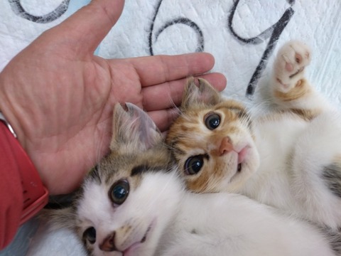 20251126_101653_copy_800x600