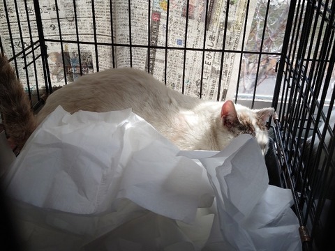 20230404_140710_copy_800x600_1