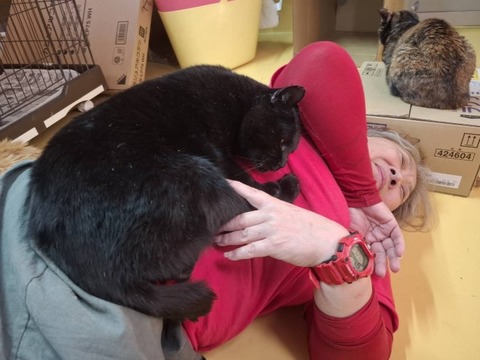 1768035996502_copy_738x554