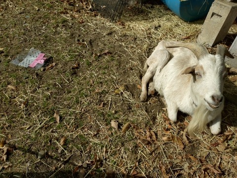 20251121_111619_copy_800x600