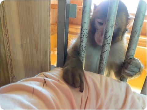 DSC_1271_copy_3670x2692