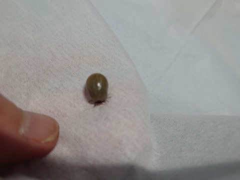 DSC_5668_copy_800x600