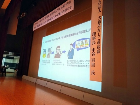 20250622_103242_copy_800x600