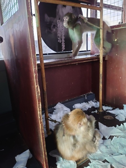 DSC_3307_copy_600x800