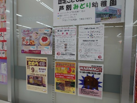 DSC_1009_copy_800x600