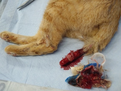 20260120_145017_copy_816x612