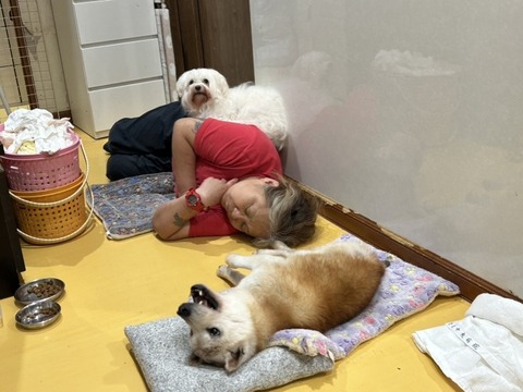 1761312209680_copy_738x554