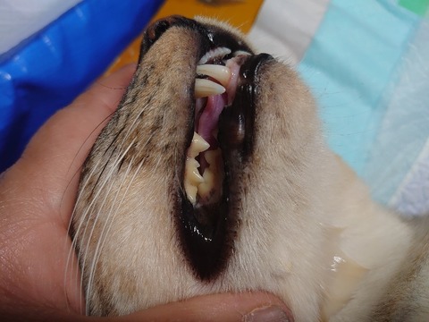 DSC_1295_copy_800x600