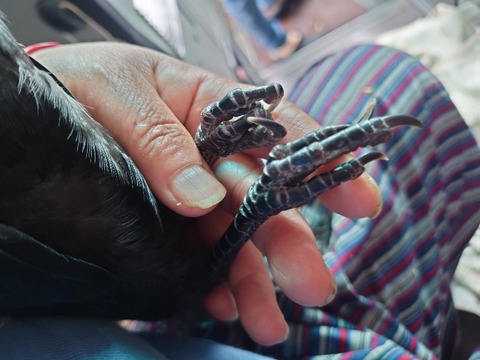 20230519_115630_copy_800x600