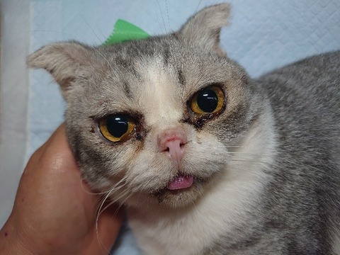 DSC_1299_copy_800x600