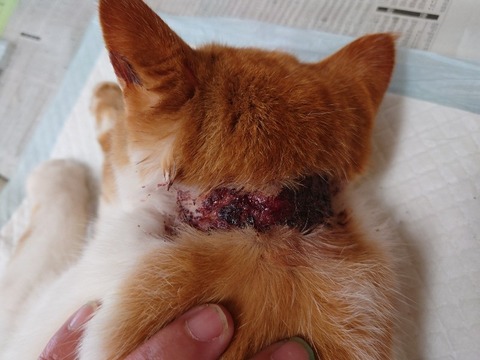 20240124_134337~2_copy_800x600