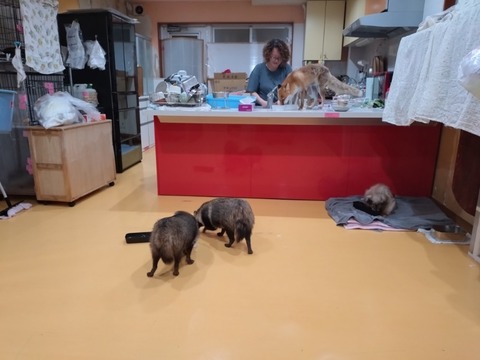 20260301_201451_copy_800x600