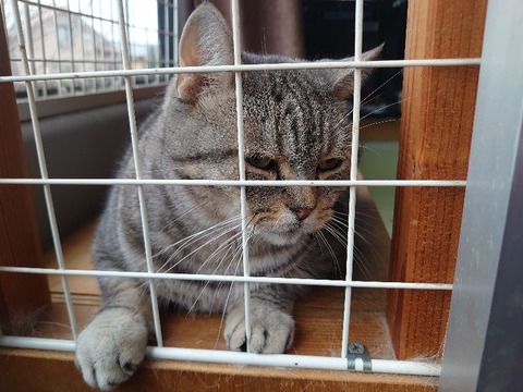 DSC_1697_copy_800x600