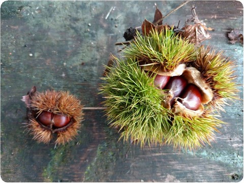 original_968efd86-81e7-4095-b706-1ad230626b25_20250915_085502