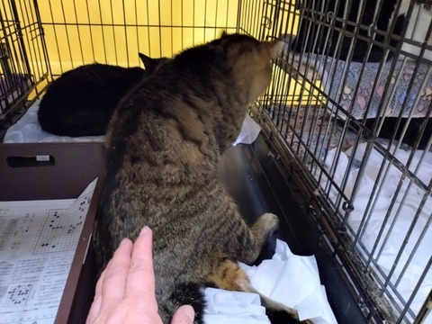 20260209_163825~2_copy_800x600