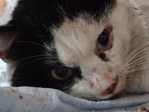 20260127_190348_copy_816x612