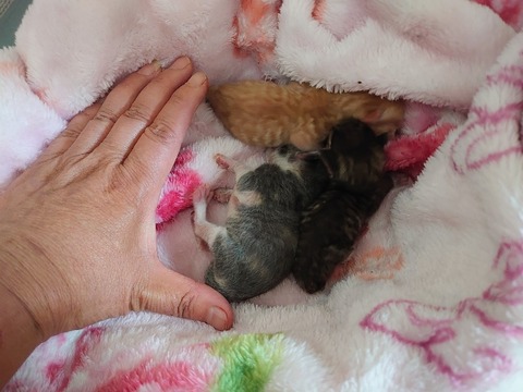 DSC_5964_copy_800x600