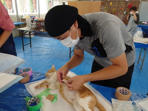 DSC_0039_copy_800x600